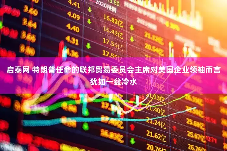 启泰网 特朗普任命的联邦贸易委员会主席对美国企业领袖而言犹如一盆冷水