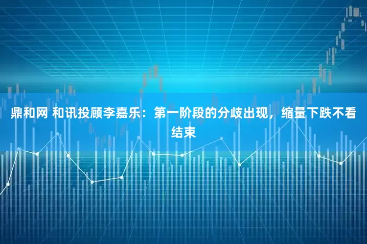 鼎和网 和讯投顾李嘉乐：第一阶段的分歧出现，缩量下跌不看结束