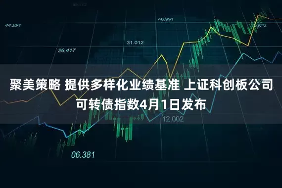聚美策略 提供多样化业绩基准 上证科创板公司可转债指数4月1日发布