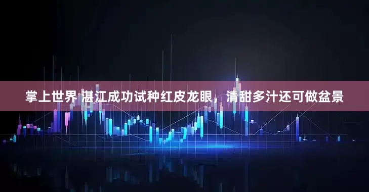 掌上世界 湛江成功试种红皮龙眼，清甜多汁还可做盆景